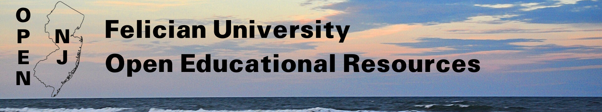 Felician University